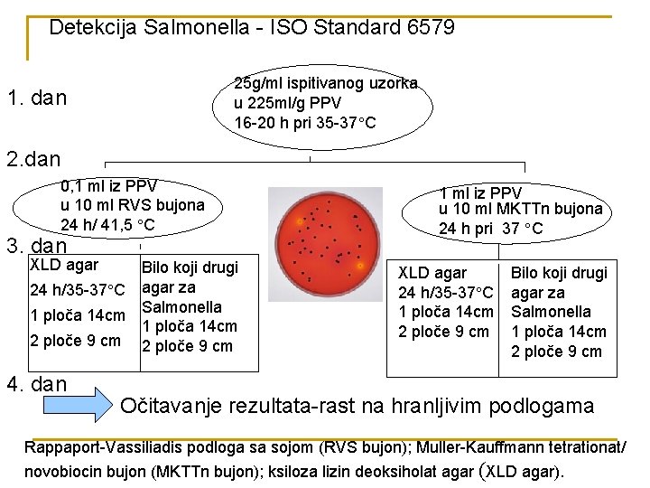 Detekcija Salmonella - ISO Standard 6579 25 g/ml ispitivanog uzorka u 225 ml/g PPV