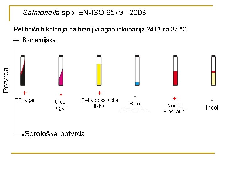 Salmonella spp. EN-ISO 6579 : 2003 Pet tipičnih kolonija na hranljivi agar/ inkubacija 24