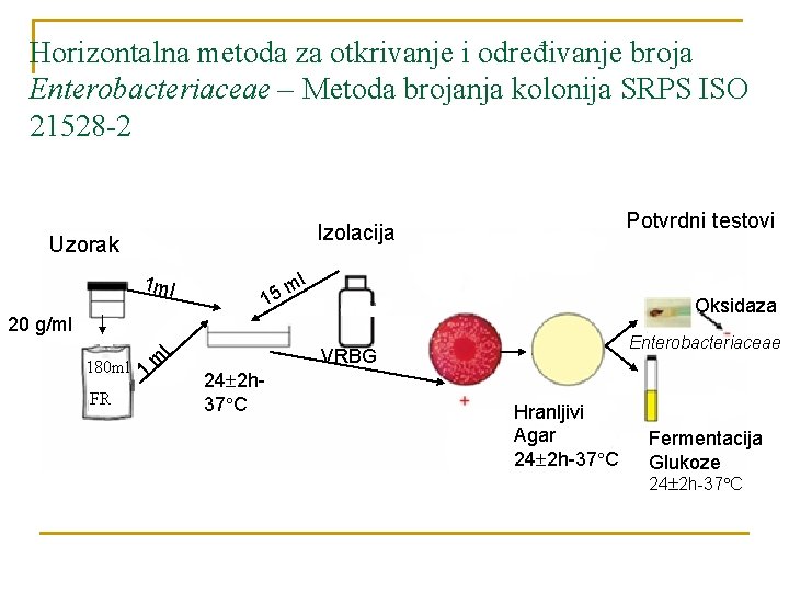 Horizontalna metoda za otkrivanje i određivanje broja Enterobacteriaceae – Metoda brojanja kolonija SRPS ISO