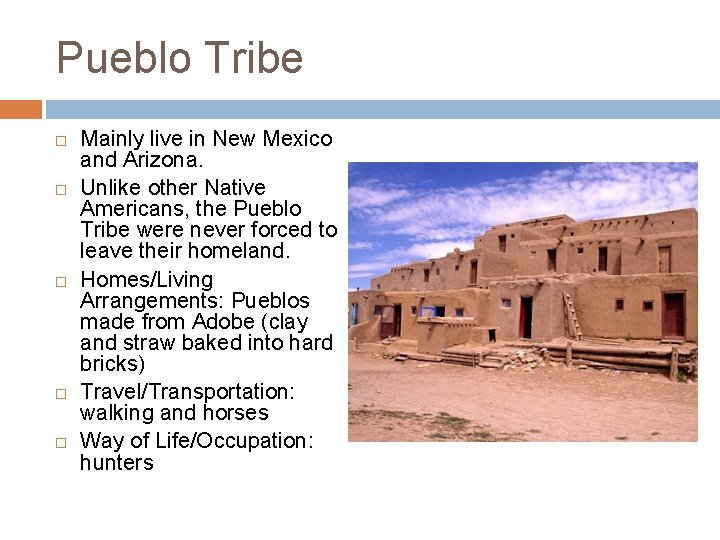 Pueblo Tribe Mainly live in New Mexico and Arizona. Unlike other Native Americans, the
