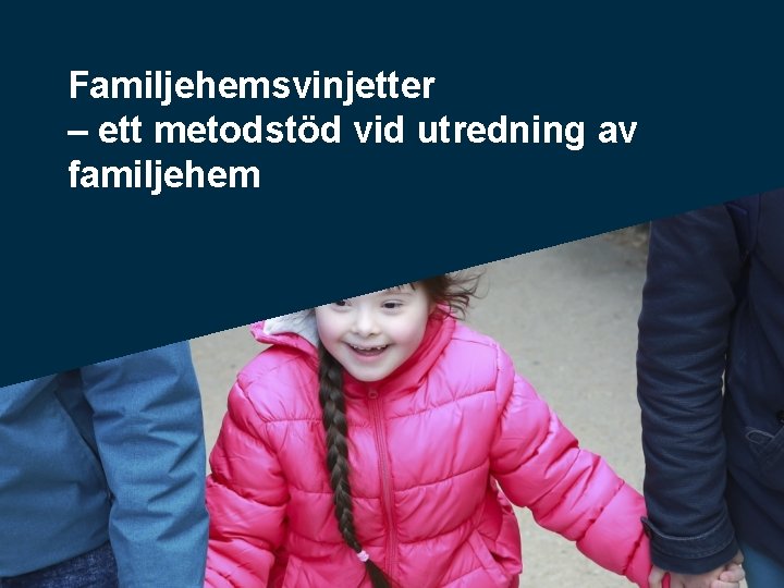 Familjehemsvinjetter – ett metodstöd vid utredning av familjehem 