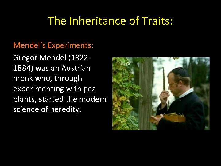 The Inheritance of Traits: Mendel’s Experiments: Gregor Mendel (18221884) was an Austrian monk who,