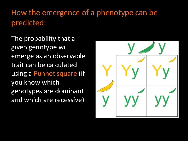 How the emergence of a phenotype can be predicted: The probability that a given
