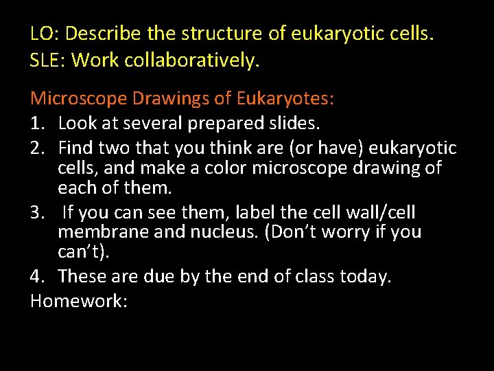 LO: Describe the structure of eukaryotic cells. SLE: Work collaboratively. Microscope Drawings of Eukaryotes: