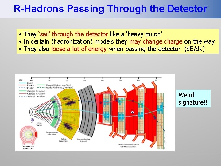 R-Hadrons Passing Through the Detector They ‘sail’ through the detector like a ‘heavy muon’