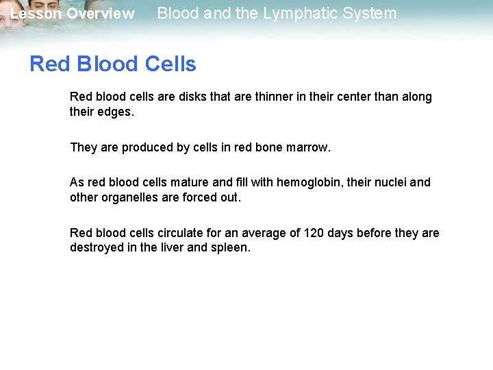 Lesson Overview Blood and the Lymphatic System Red Blood Cells Red blood cells are
