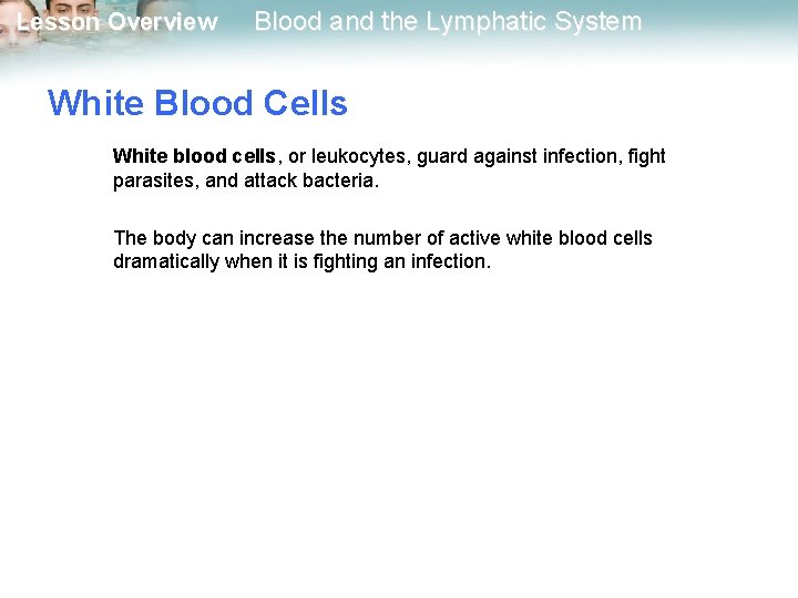 Lesson Overview Blood and the Lymphatic System White Blood Cells White blood cells, or