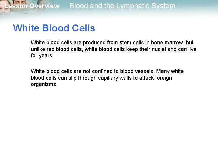 Lesson Overview Blood and the Lymphatic System White Blood Cells White blood cells are