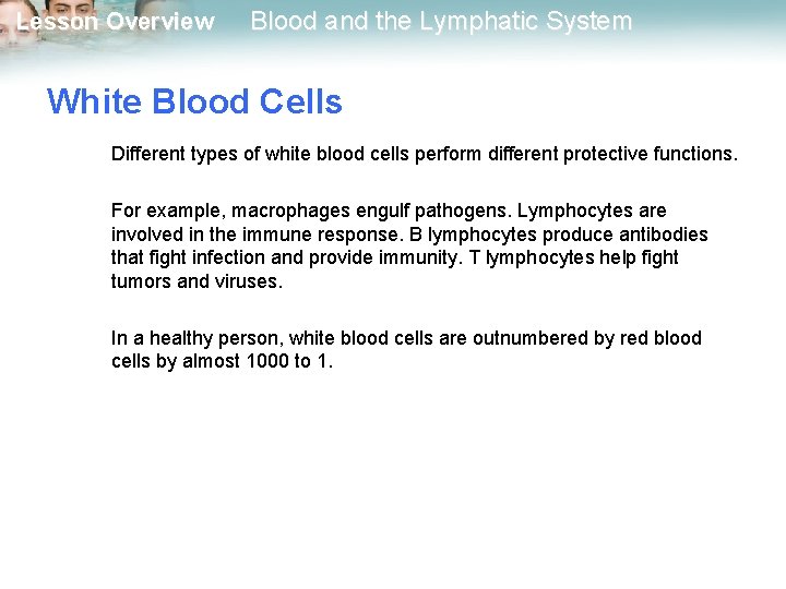 Lesson Overview Blood and the Lymphatic System White Blood Cells Different types of white