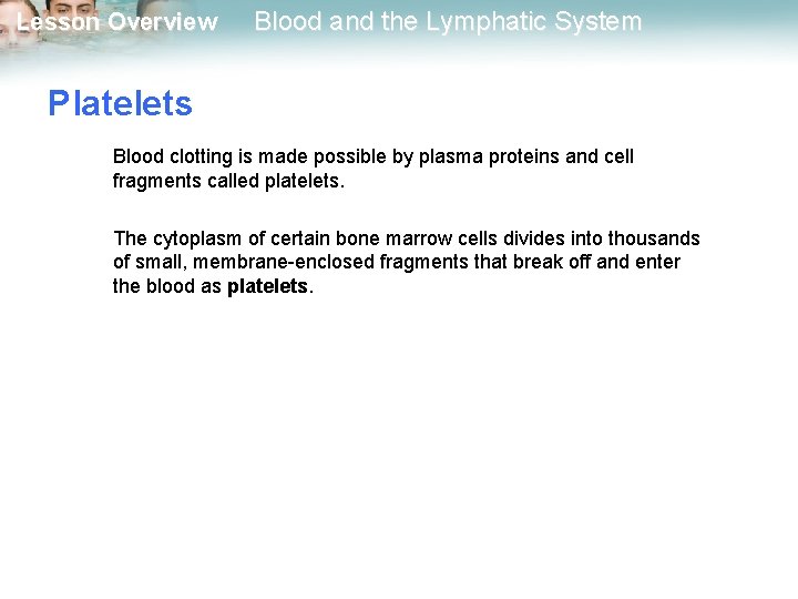 Lesson Overview Blood and the Lymphatic System Platelets Blood clotting is made possible by