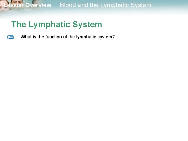 Lesson Overview Blood and the Lymphatic System The Lymphatic System What is the function