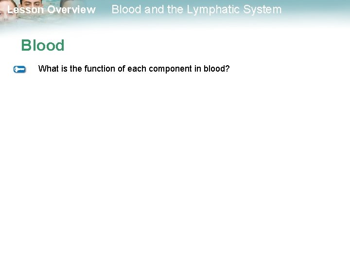 Lesson Overview Blood and the Lymphatic System Blood What is the function of each