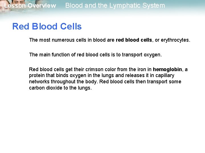 Lesson Overview Blood and the Lymphatic System Red Blood Cells The most numerous cells