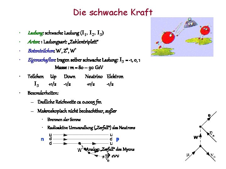 Die schwache Kraft • • • Ladung: schwache Ladung (I 1, I 2, I