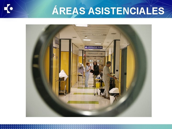 ÁREAS ASISTENCIALES 