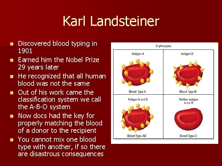 Karl Landsteiner n n n Discovered blood typing in 1901 Earned him the Nobel