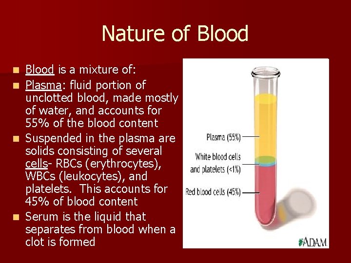 Nature of Blood is a mixture of: n Plasma: fluid portion of unclotted blood, Nature of Blood is a mixture of: n Plasma: fluid portion of unclotted blood,