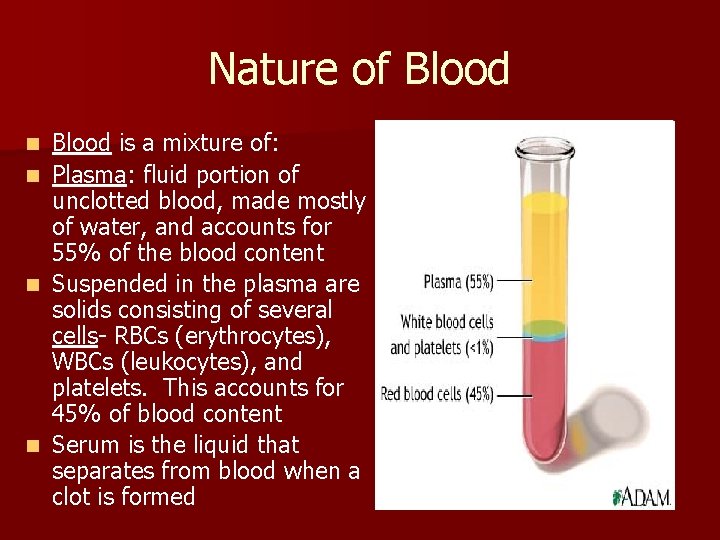 Nature of Blood is a mixture of: n Plasma: fluid portion of unclotted blood,