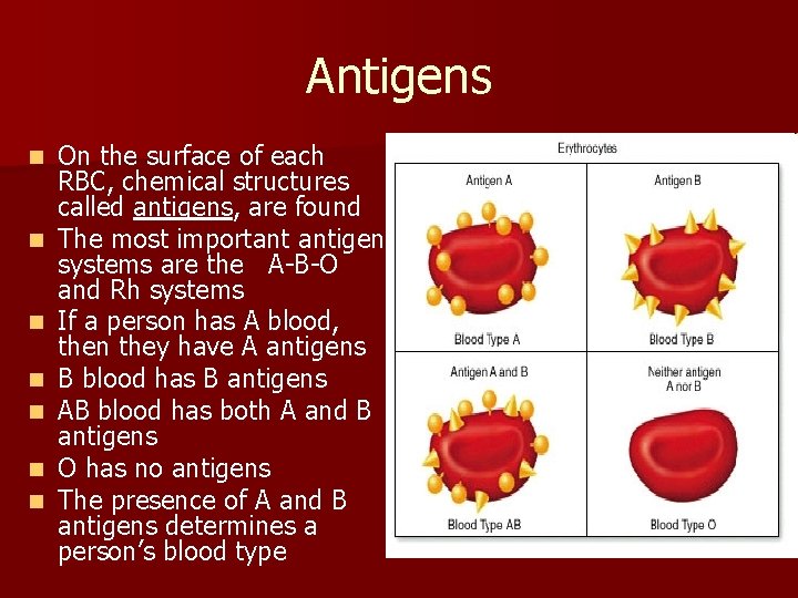Antigens n n n n On the surface of each RBC, chemical structures called Antigens n n n n On the surface of each RBC, chemical structures called