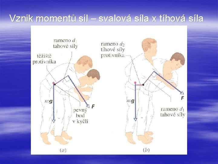 Vznik momentů sil – svalová síla x tíhová síla 