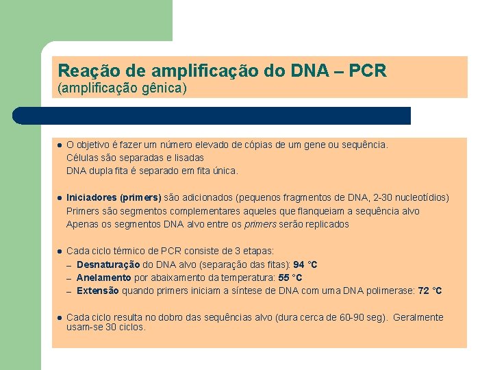 Reação de amplificação do DNA – PCR (amplificação gênica) l O objetivo é fazer