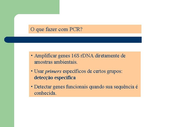 O que fazer com PCR? • Amplificar genes 16 S r. DNA diretamente de