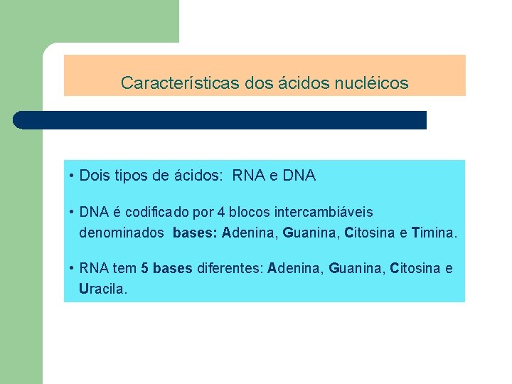 Características dos ácidos nucléicos • Dois tipos de ácidos: RNA e DNA • DNA