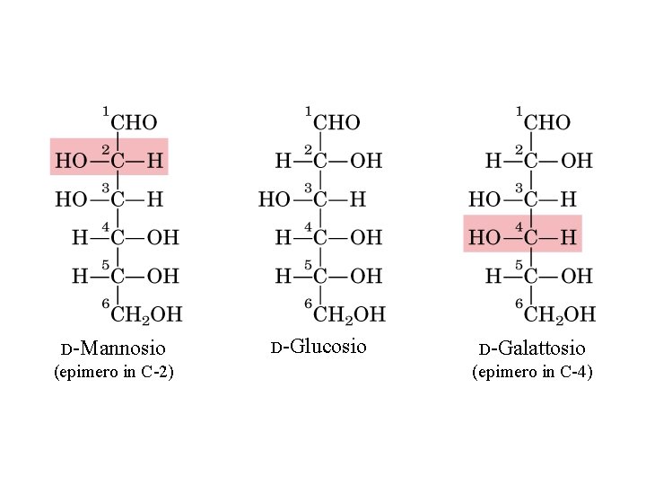 D-Mannosio (epimero in C-2) D-Glucosio D-Galattosio (epimero in C-4) 