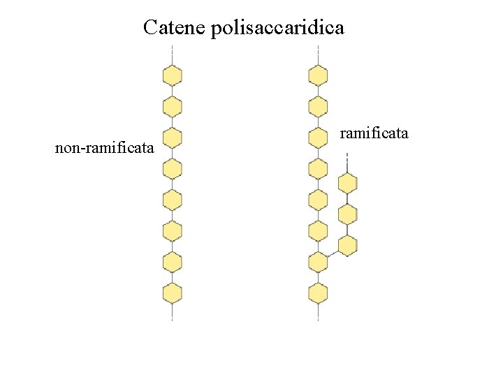 Catene polisaccaridica non-ramificata 