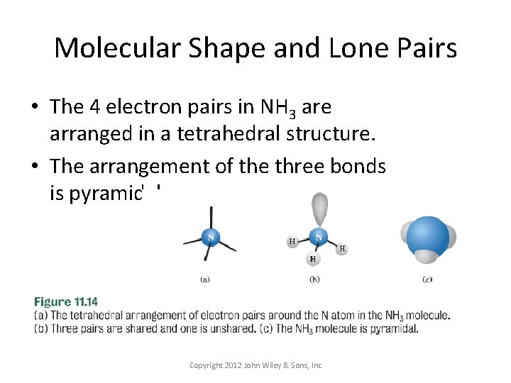 Molecular Shape and Lone Pairs • The 4 electron pairs in NH 3 are