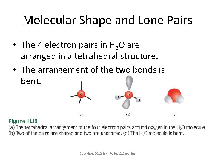 Molecular Shape and Lone Pairs • The 4 electron pairs in H 2 O