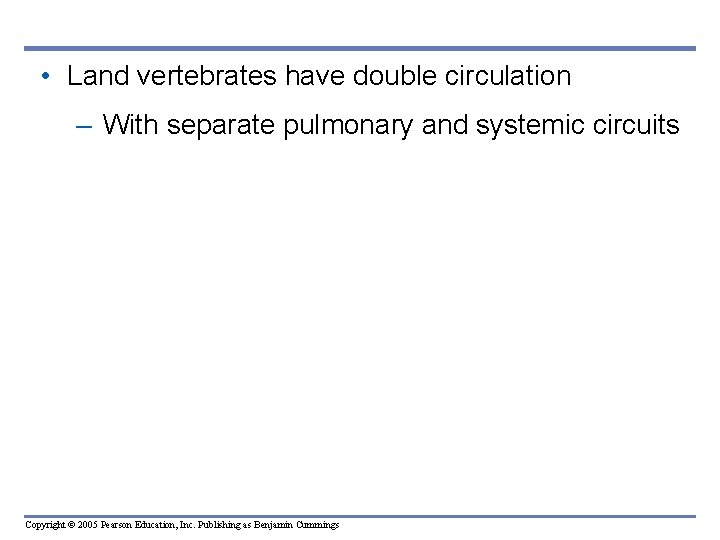  • Land vertebrates have double circulation – With separate pulmonary and systemic circuits
