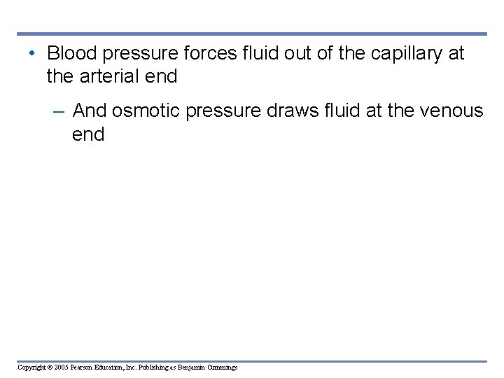  • Blood pressure forces fluid out of the capillary at the arterial end