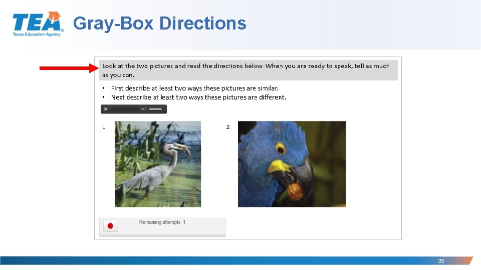 Gray-Box Directions 28 