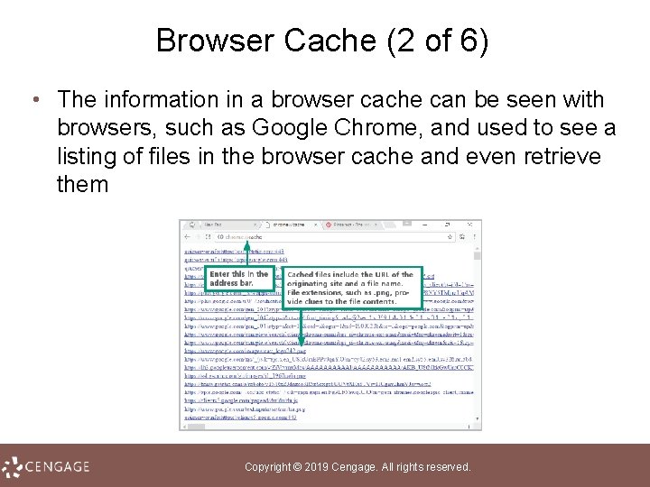 Browser Cache (2 of 6) • The information in a browser cache can be