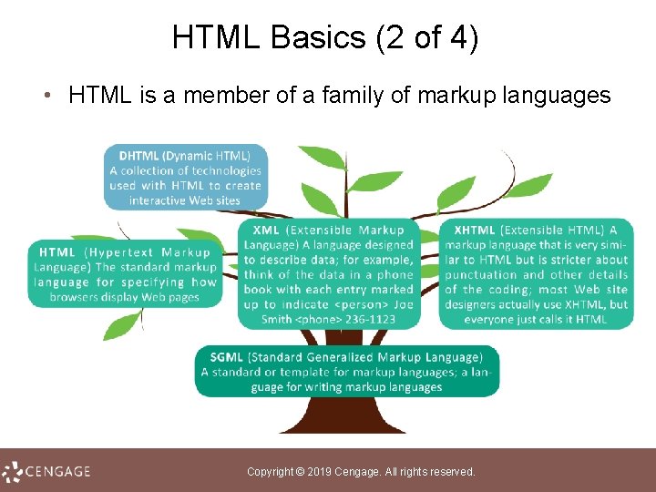 HTML Basics (2 of 4) • HTML is a member of a family of