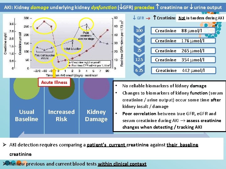 AKI: Kidney damage underlying kidney dysfunction ( GFR) precedes creatinine or urine output GFR