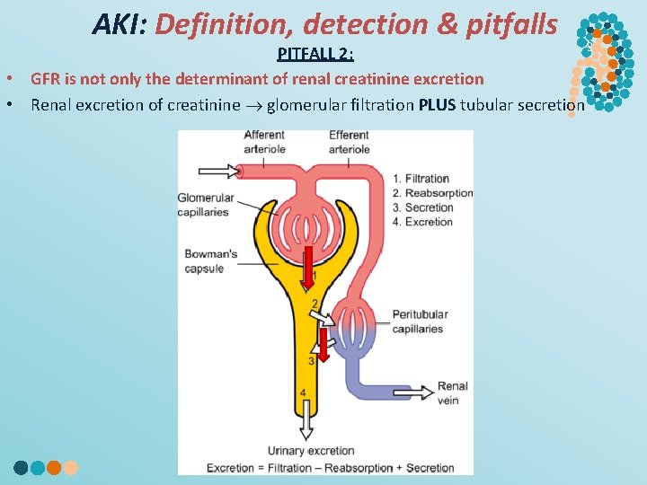 AKI: Definition, detection & pitfalls PITFALL 2: • GFR is not only the determinant