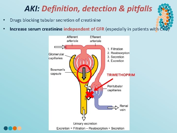 AKI: Definition, detection & pitfalls § • Drugs blocking tubular secretion of creatinine •