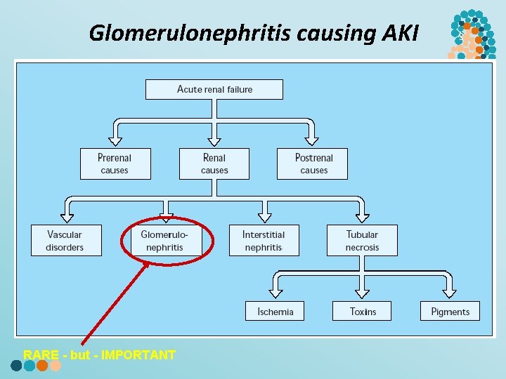 Glomerulonephritis causing AKI RARE - but - IMPORTANT § 