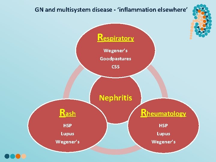 GN and multisystem disease - ‘inflammation elsewhere’ Respiratory Wegener’s Goodpastures CSS Nephritis Rash Rheumatology