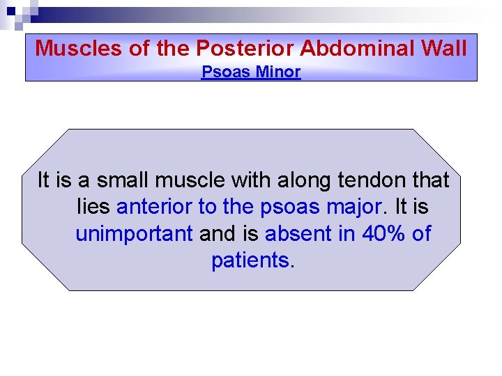 Muscles of the Posterior Abdominal Wall Psoas Minor It is a small muscle with