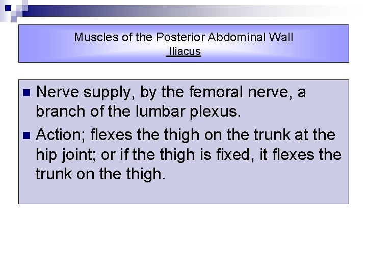 Muscles of the Posterior Abdominal Wall Iliacus Nerve supply, by the femoral nerve, a