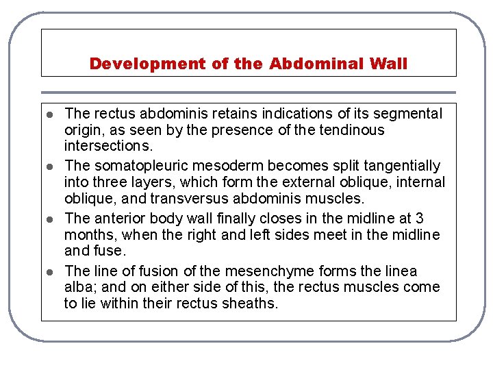Development of the Abdominal Wall l l The rectus abdominis retains indications of its