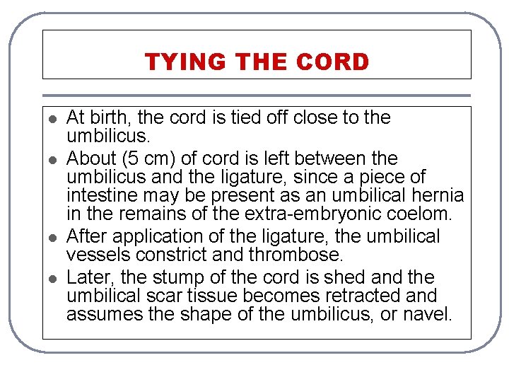 TYING THE CORD l l At birth, the cord is tied off close to