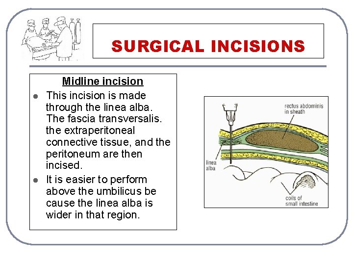 SURGICAL INCISIONS l l Midline incision This incision is made through the linea alba.