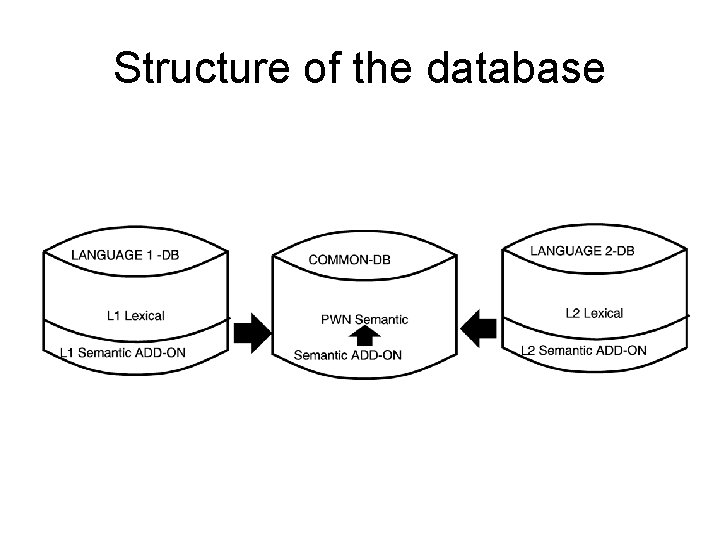 Structure of the database 