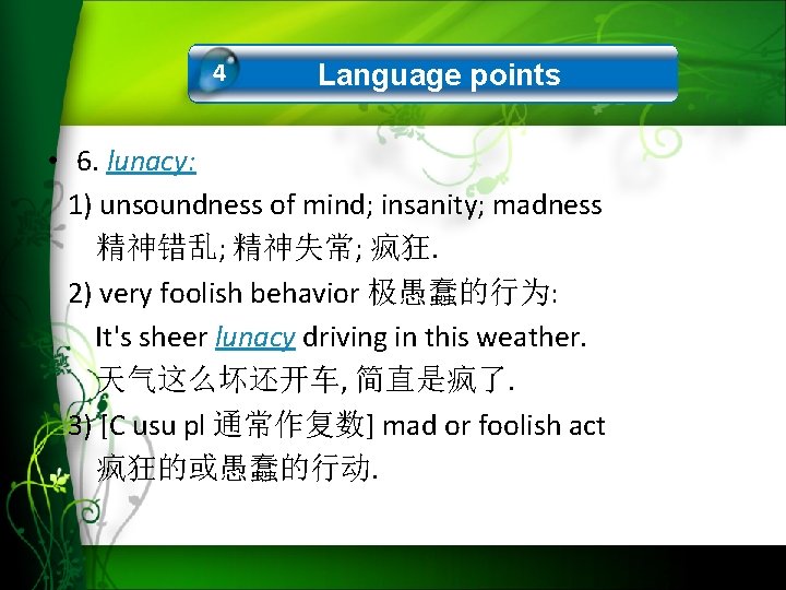 4 Language points • 6. lunacy: 1) unsoundness of mind; insanity; madness 精神错乱; 精神失常;