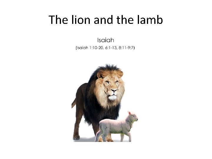 The lion and the lamb 