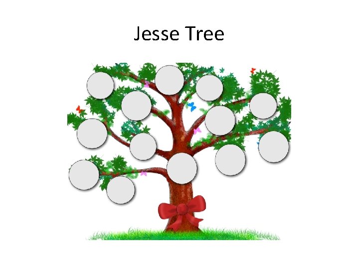 Jesse Tree 